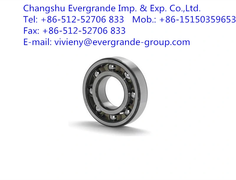 Deep Groove Ball Bearing 6004