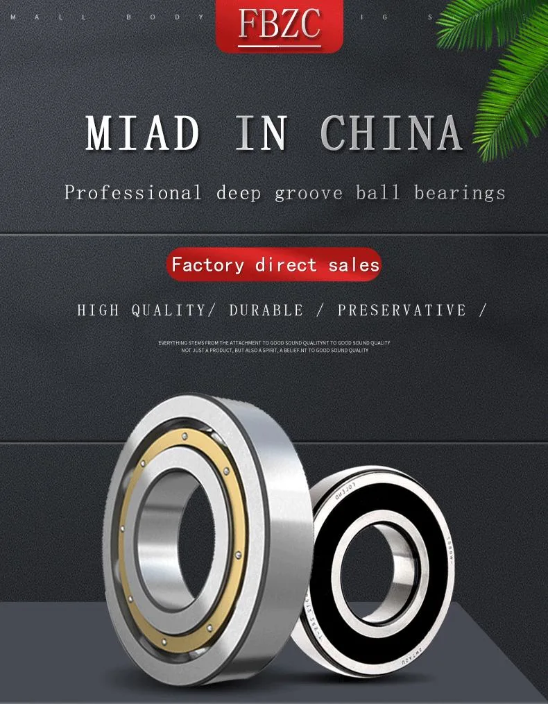 China Bearing Deep Groove Ball Bearing 6002 6003 6202 6203 Motorcycle Bearing with Competitive Price